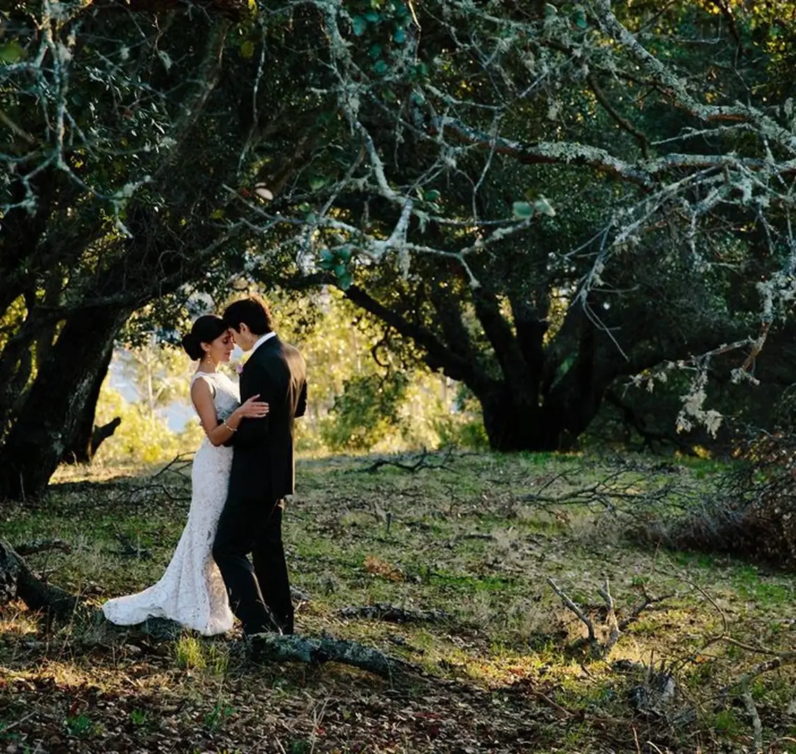Bride and groom embracing under large trees.