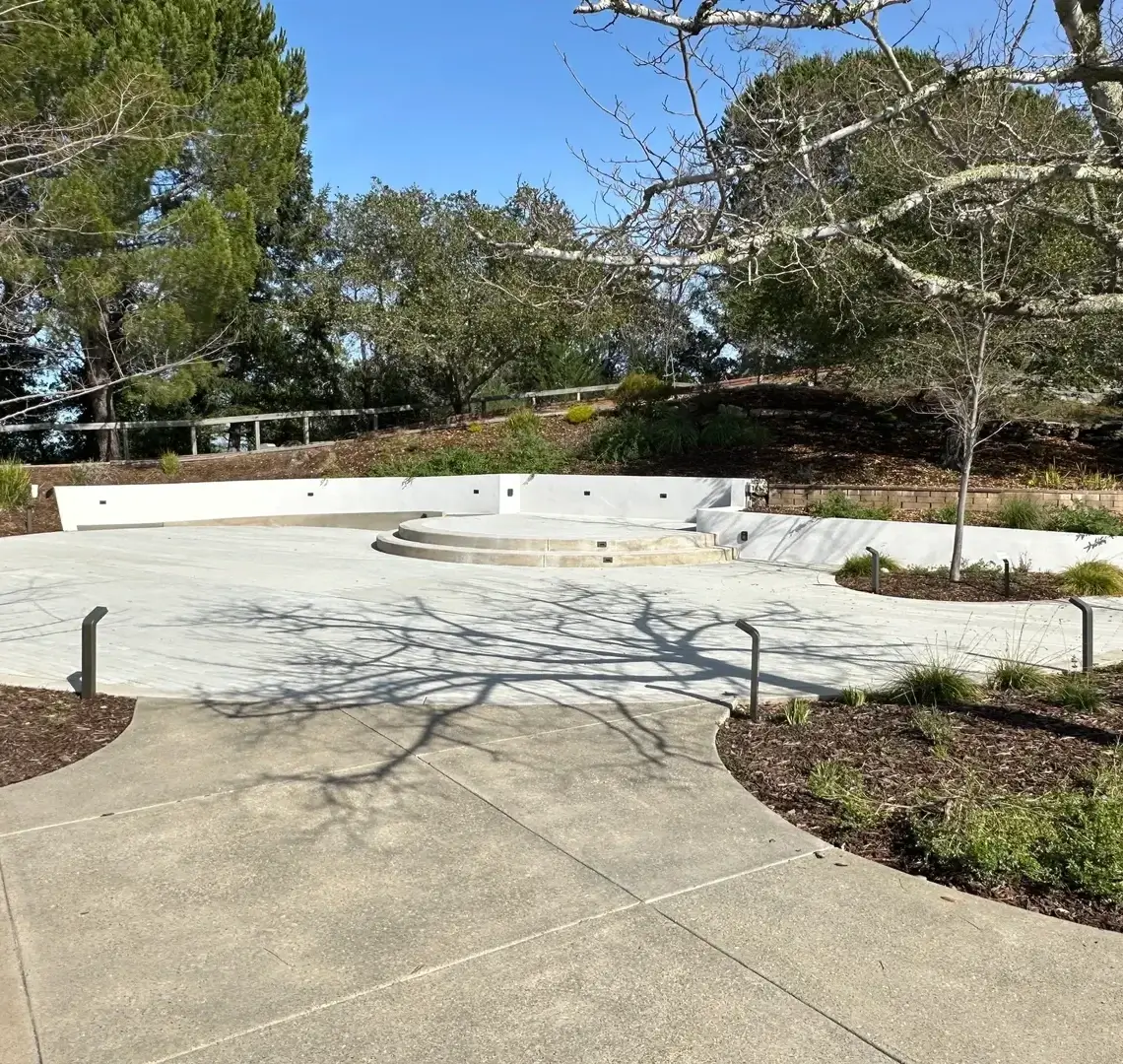 Outdoor skate park with trees and shadows.