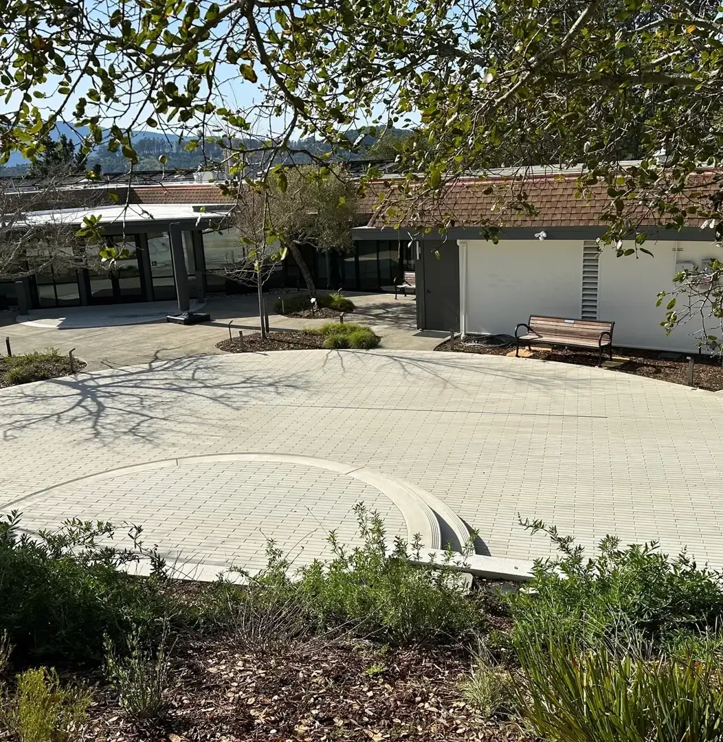 Courtyard with trees and modern building exterior.