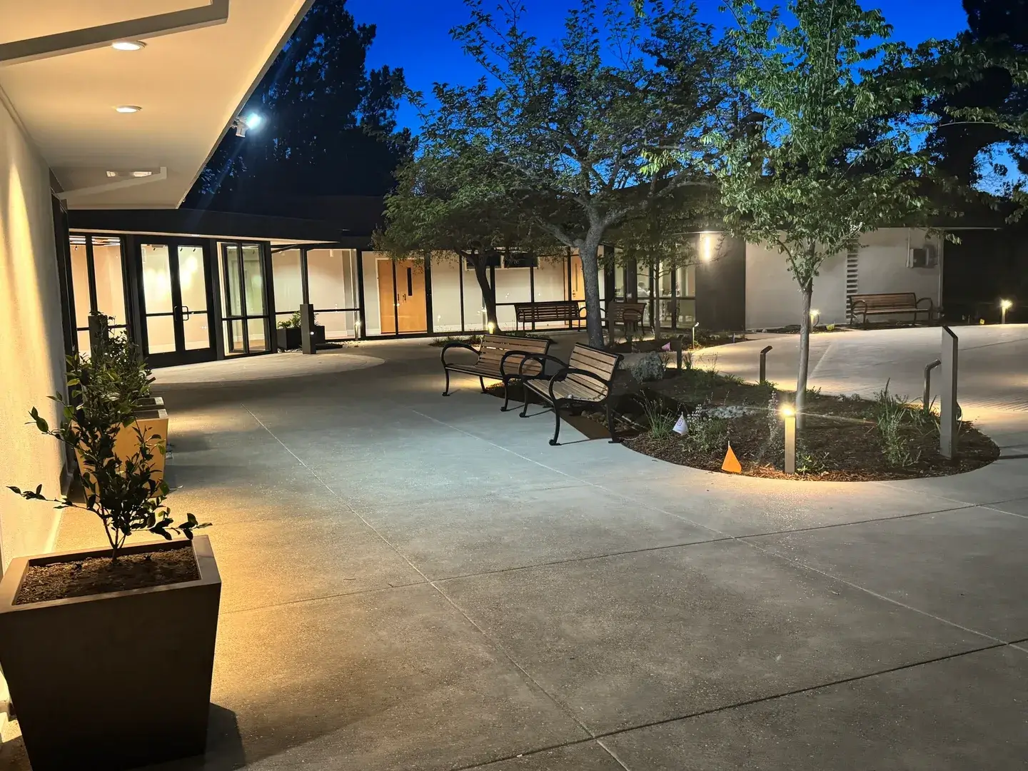 Illuminated courtyard with benches and trees.