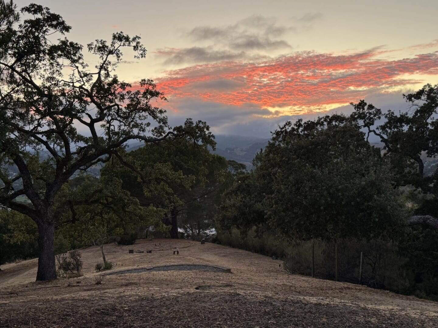 Sunset over hills with silhouetted trees.